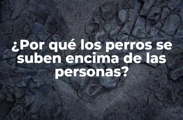¿por Qué los Perros Se Suben Encima de las Personas?