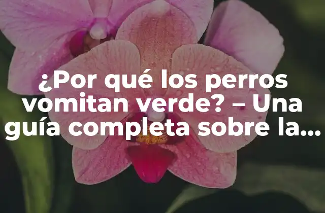 ¿por Qué los Perros Vomitan Verde? – una Guía Completa sobre la Salud Canina
