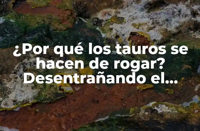 ¿por Qué los Tauros Se Hacen de Rogar? Desentrañando el Misterio