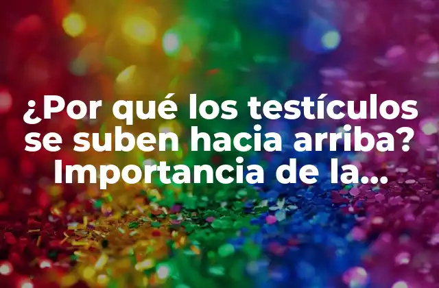 ¿por Qué los Testículos Se Suben hacia Arriba? Importancia de la Criptorquidia 2 Anatomía normal de los testículos y su descenso