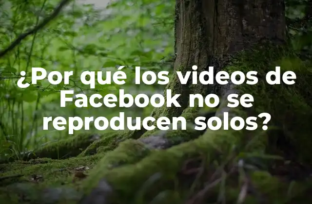 ¿por Qué los Videos de Facebook No Se Reproducen Solos?