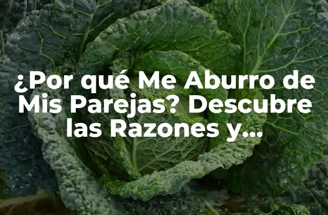 ¿por Qué Me Aburro de Mis Parejas? Descubre las Razones y Soluciones