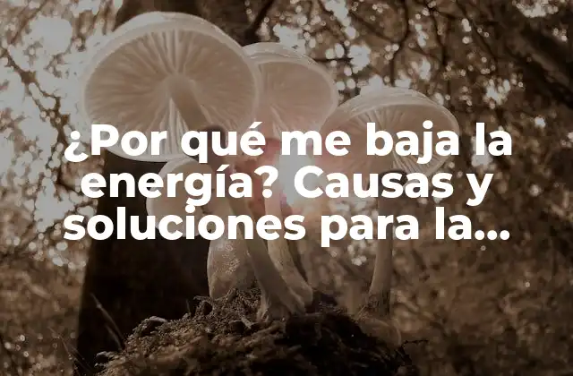 ¿por Qué Me Baja la Energía? Causas y Soluciones para la Fatiga Crónica