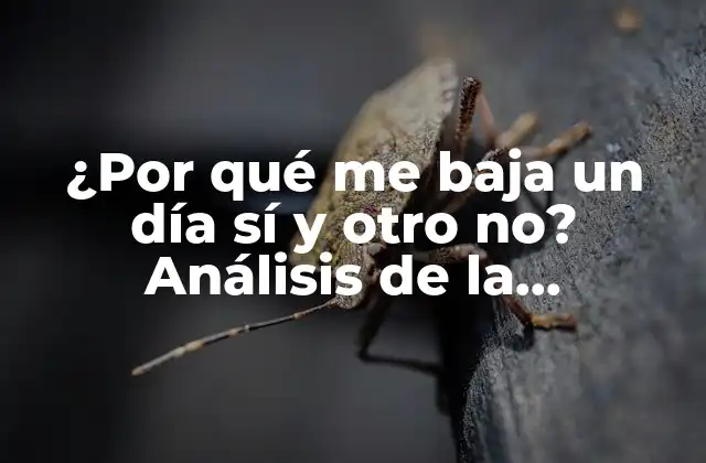 ¿por Qué Me Baja un Día Sí y Otro No? Análisis de la Irregularidad Menstrual