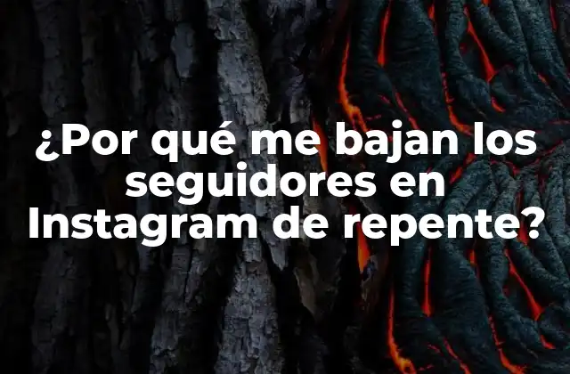 ¿por Qué Me Bajan los Seguidores en Instagram de Repente?