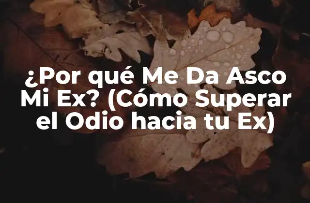 ¿por Qué Me Da Asco Mi Ex? (cómo Superar el Odio hacia Tu Ex)
