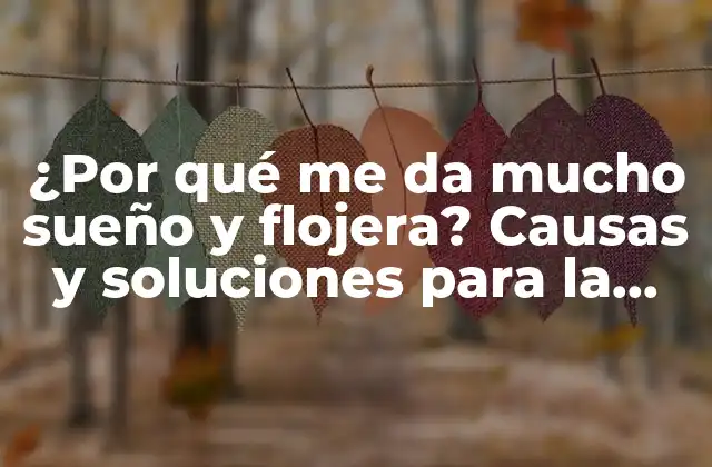 ¿por Qué Me Da Mucho Sueño y Flojera? Causas y Soluciones para la Somnolencia y la Falta de Energía