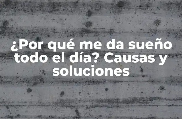 ¿por Qué Me Da Sueño Todo el Día? Causas y Soluciones