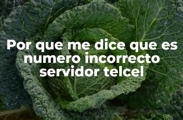 Por que Me Dice que es Numero Incorrecto Servidor Telcel