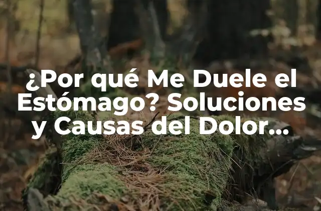 ¿por Qué Me Duele el Estómago? Soluciones y Causas Del Dolor Estomacal