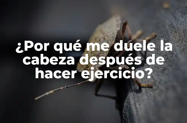 ¿por Qué Me Duele la Cabeza Después de Hacer Ejercicio? 2 Causas del dolor de cabeza después del ejercicio