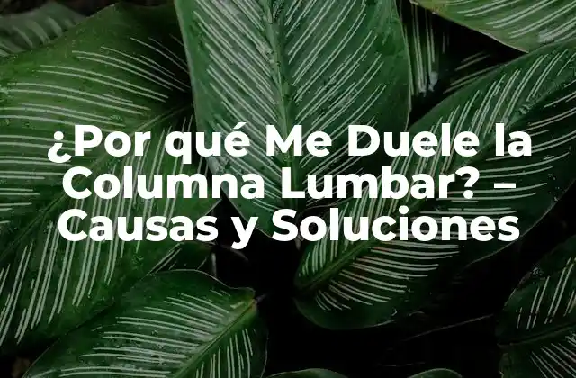 ¿por Qué Me Duele la Columna Lumbar? – Causas y Soluciones