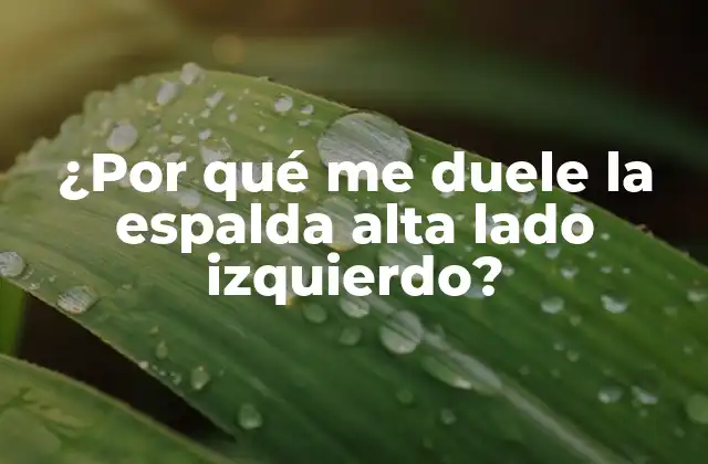 ¿por Qué Me Duele la Espalda Alta Lado Izquierdo?