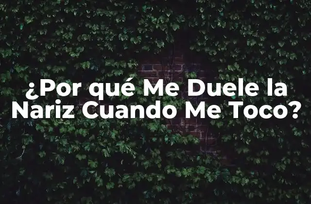 ¿por Qué Me Duele la Nariz Cuando Me Toco?