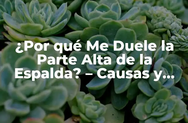 Causas del Dolor en la Parte Alta de la Espalda