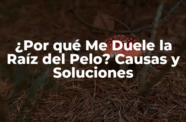 ¿por Qué Me Duele la Raíz Del Pelo? Causas y Soluciones