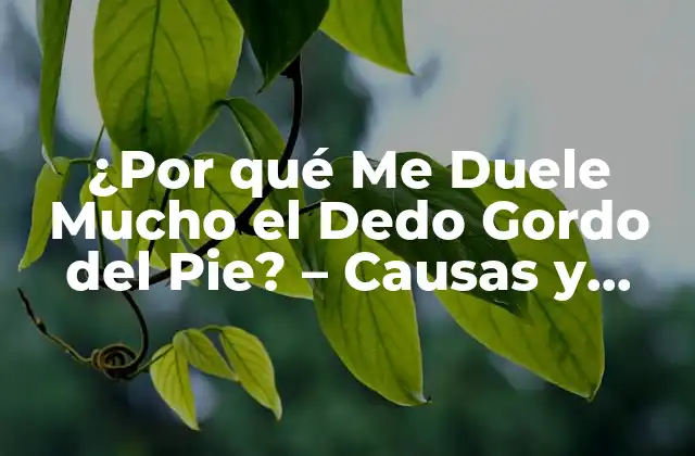 ¿por Qué Me Duele Mucho el Dedo Gordo Del Pie? – Causas y Soluciones