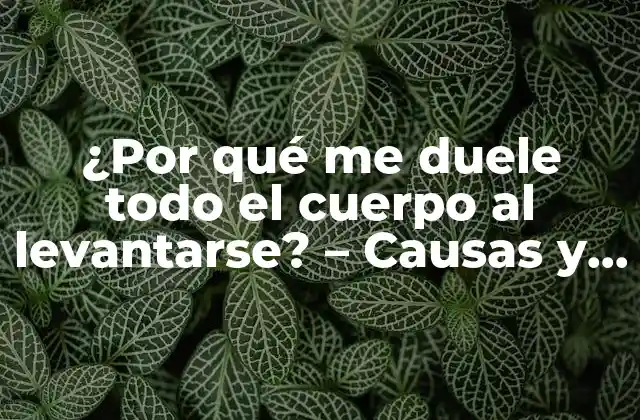 ¿por Qué Me Duele Todo el Cuerpo Al Levantarse? – Causas y Soluciones