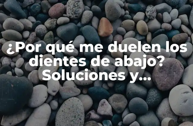 ¿por Qué Me Duelen los Dientes de Abajo? Soluciones y Explicaciones