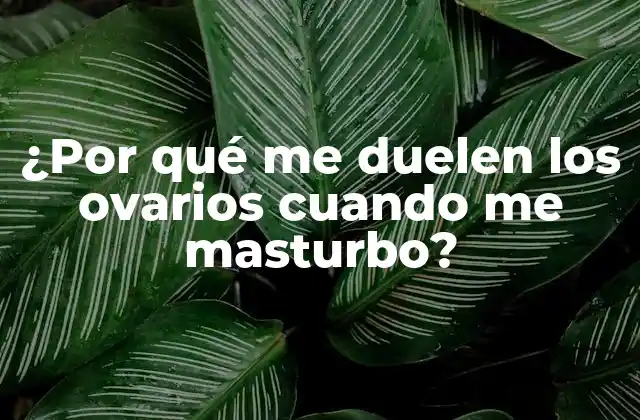 ¿por Qué Me Duelen los Ovarios Cuando Me Masturbo?