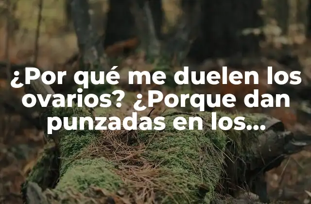 ¿por Qué Me Duelen los Ovarios? ¿porque Dan Punzadas en los Ovarios?