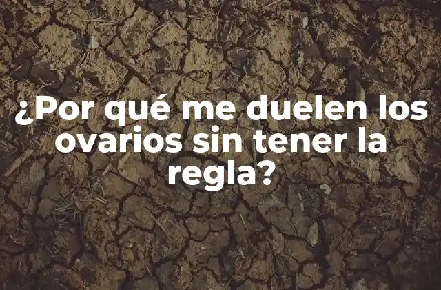 ¿por Qué Me Duelen los Ovarios sin Tener la Regla?
