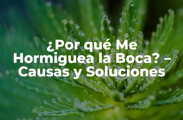 ¿por Qué Me Hormiguea la Boca? - Causas y Soluciones 2 Causas de la Sensación de Hormigueo en la Boca