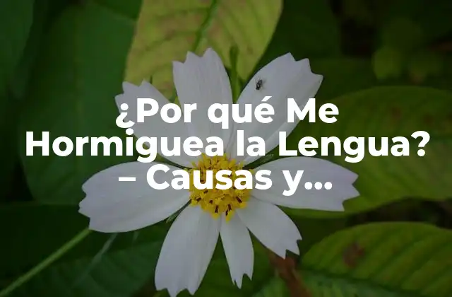 ¿por Qué Me Hormiguea la Lengua? – Causas y Tratamientos