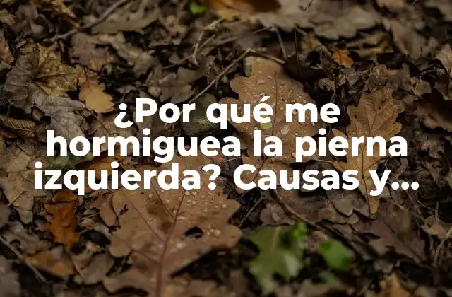 ¿por Qué Me Hormiguea la Pierna Izquierda? Causas y Soluciones Completas