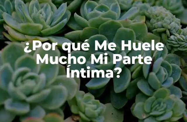 ¿por Qué Me Huele Mucho Mi Parte Íntima?