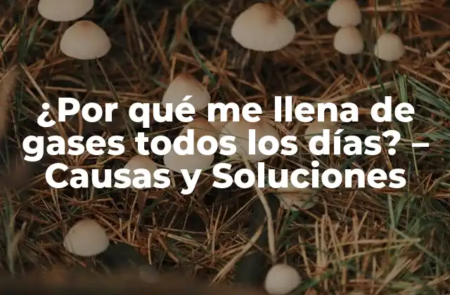 ¿por Qué Me Llena de Gases Todos los Días? – Causas y Soluciones