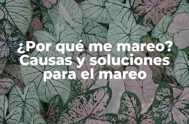 ¿por Qué Me Mareo? Causas y Soluciones para el Mareo
