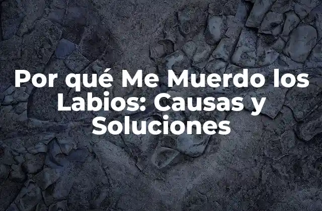 ¿Qué son los labios y por qué son importantes?