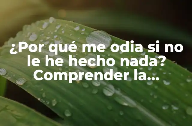 ¿por Qué Me Odia Si No Le He Hecho Nada? Comprender la Psicología Detrás Del Odio