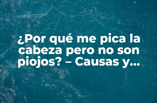 ¿por Qué Me Pica la Cabeza pero No Son Piojos? – Causas y Soluciones para el Picor en la Cabeza