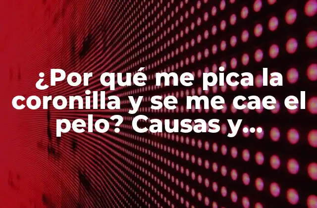 ¿por Qué Me Pica la Coronilla y Se Me Cae el Pelo? Causas y Soluciones