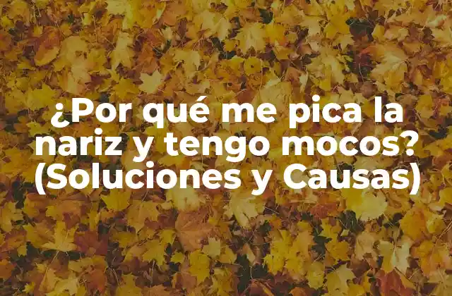¿por Qué Me Pica la Nariz y Tengo Mocos? (soluciones y Causas)