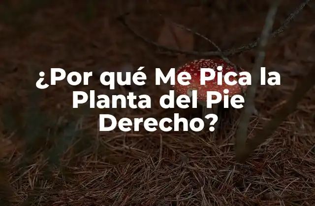 ¿por Qué Me Pica la Planta Del Pie Derecho?