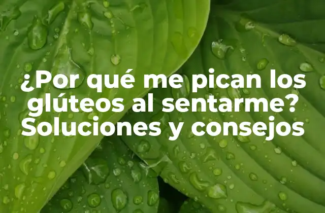 ¿por Qué Me Pican los Glúteos Al Sentarme? Soluciones y Consejos