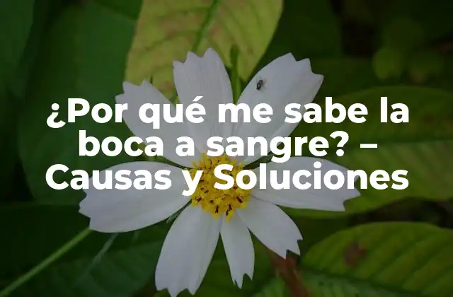 ¿por Qué Me Sabe la Boca a Sangre? – Causas y Soluciones