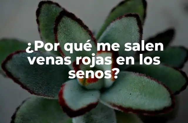 ¿por Qué Me Salen Venas Rojas en los Senos?