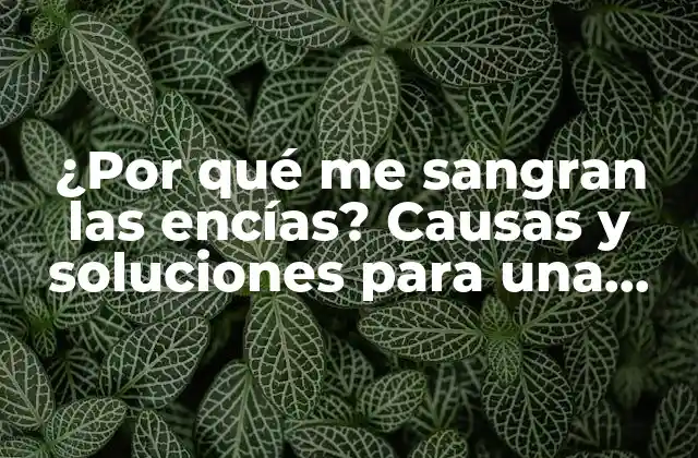 ¿por Qué Me Sangran las Encías? Causas y Soluciones para una Salud Oral Óptima