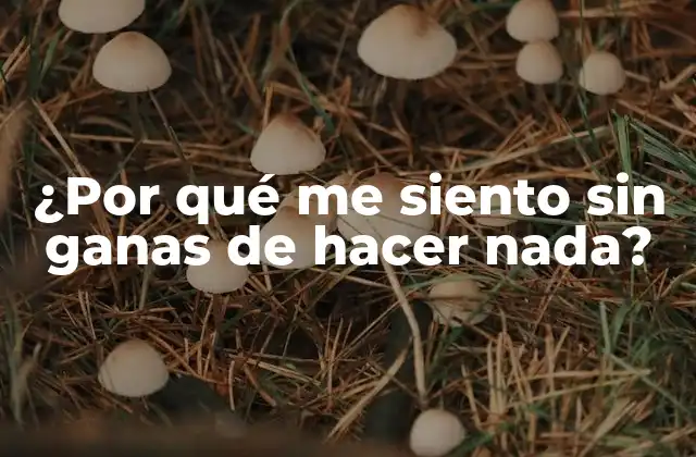 ¿por Qué Me Siento sin Ganas de Hacer Nada?