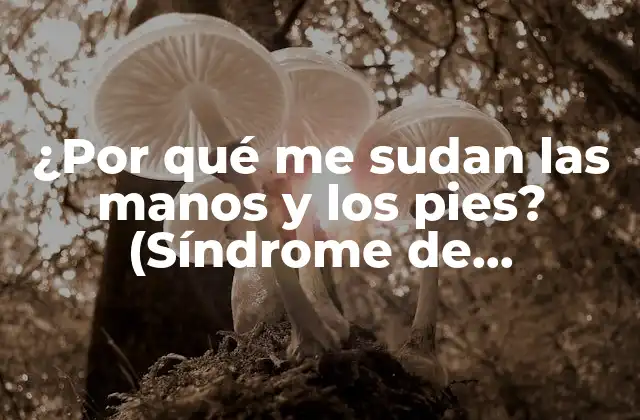 ¿por Qué Me Sudan las Manos y los Pies? (síndrome de Hiperhidrosis)