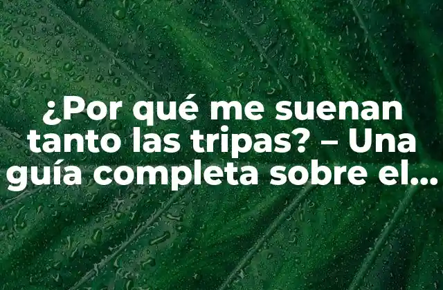 ¿por Qué Me Suenan Tanto las Tripas? – una Guía Completa sobre el Ruido Intestinal
