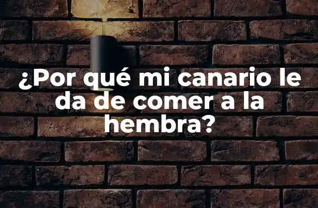 La importancia del cortejo en la vida de los canarios
