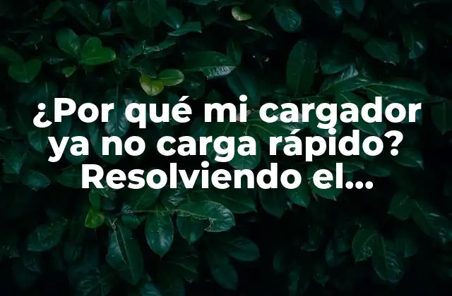 ¿por Qué Mi Cargador Ya No Carga Rápido? Resolviendo el Problema de Carga Lenta