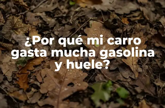¿por Qué Mi Carro Gasta Mucha Gasolina y Huele?