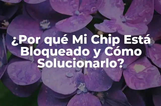 ¿por Qué Mi Chip Está Bloqueado y Cómo Solucionarlo?