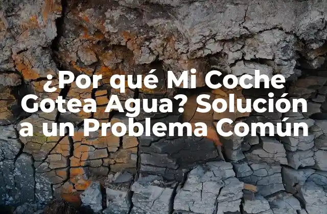 ¿por Qué Mi Coche Gotea Agua? Solución a un Problema Común